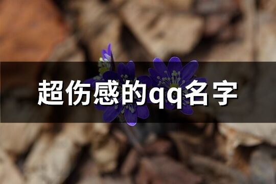 超伤感的qq名字(优选243个)