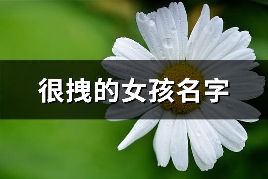 很拽的女孩名字(557个)