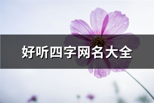 好听四字网名大全(优选484个)