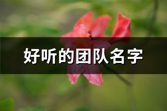 好听的团队名字(114个)