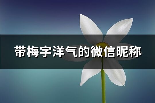 带梅字洋气的微信昵称(94个)