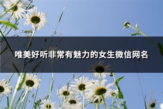 唯美好听非常有魅力的女生微信网名(优选378个)