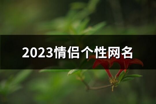 2023情侣个性网名(385个)