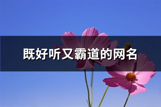 既好听又霸道的网名(456个)