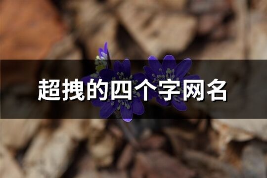 超拽的四个字网名(396个)