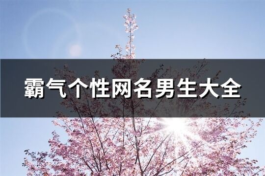 霸气个性网名男生大全(共450个)