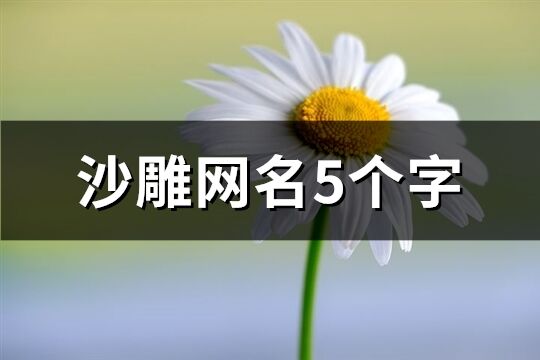 沙雕网名5个字(优选337个)