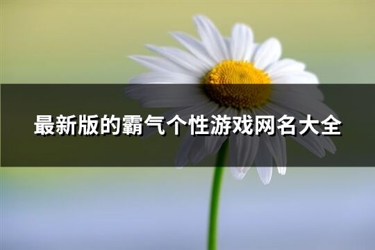 最新版的霸气个性游戏网名大全(1227个)