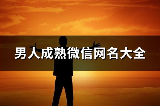 男人成熟微信网名大全(精选737个)