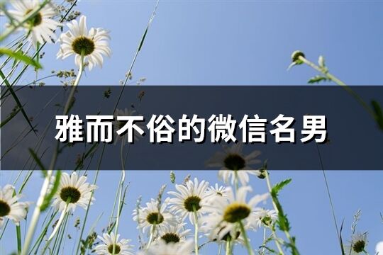 雅而不俗的微信名男(优选265个)