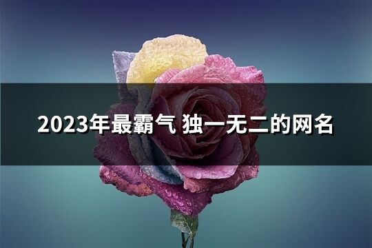 2023年最霸气 独一无二的网名(共479个)