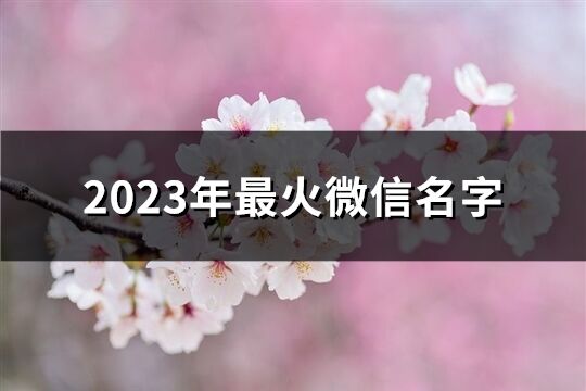 2023年最火微信名字(共260个)