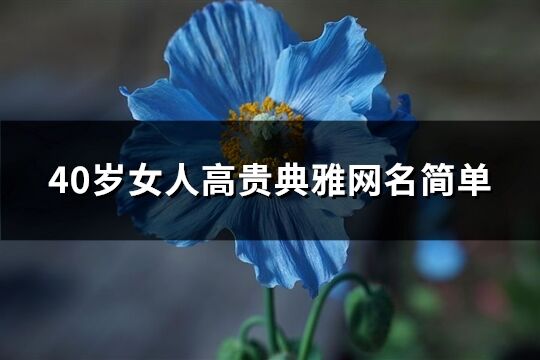 40岁女人高贵典雅网名简单(精选989个)