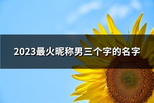 2023最火昵称男三个字的名字(共310个)