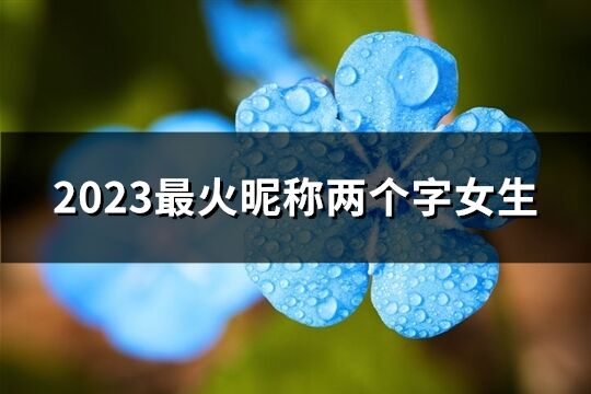 2023最火昵称两个字女生(共833个)