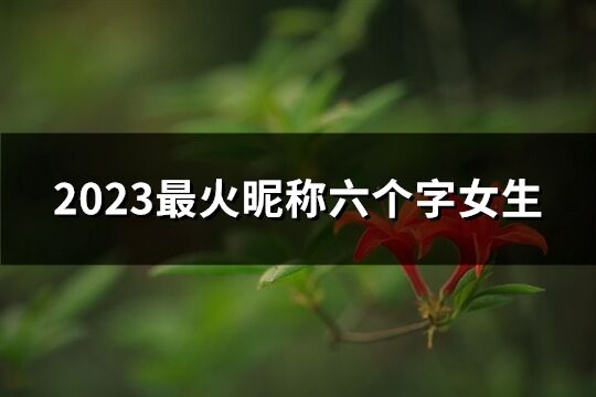 2023最火昵称六个字女生(精选826个)