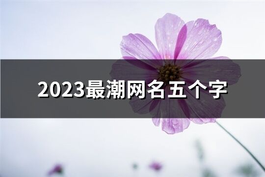 2023最潮网名五个字(506个)