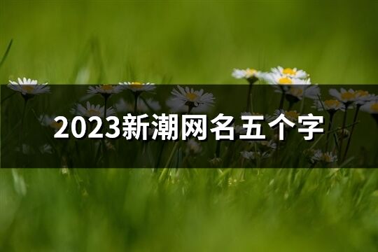 2023新潮网名五个字(共464个)