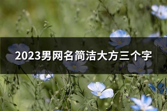 2023男网名简洁大方三个字(409个)