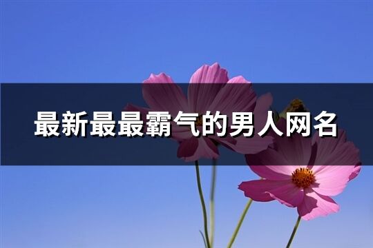 最新最最霸气的男人网名(447个)