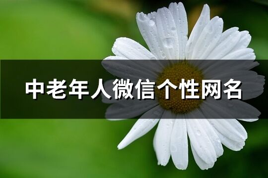 中老年人微信个性网名(优选282个)