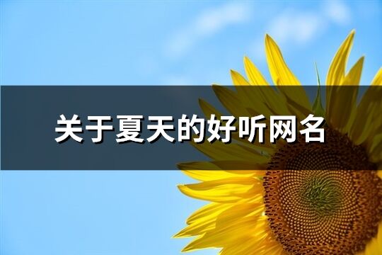 关于夏天的好听网名(优选232个)