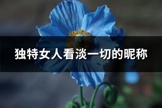 独特女人看淡一切的昵称(1135个)