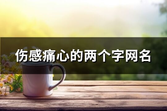 伤感痛心的两个字网名(340个)