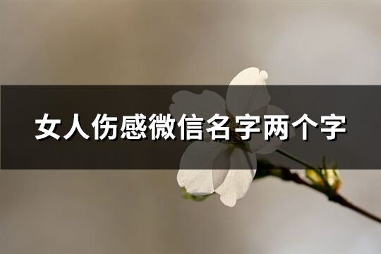 女人伤感微信名字两个字(精选337个)