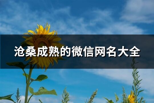 沧桑成熟的微信网名大全(优选165个)