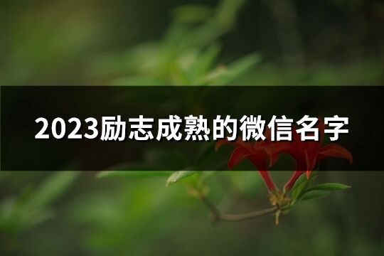 2023励志成熟的微信名字(精选163个)