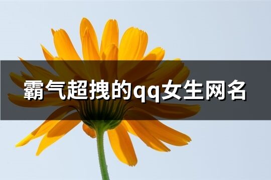 霸气超拽的qq女生网名(126个)