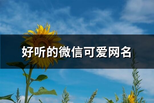 好听的微信可爱网名(共275个)