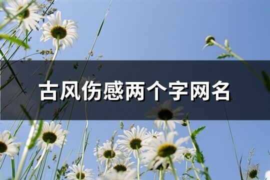 古风伤感两个字网名(精选670个)