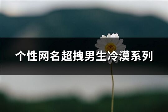 个性网名超拽男生冷漠系列(优选277个)