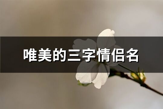 唯美的三字情侣名(109个)