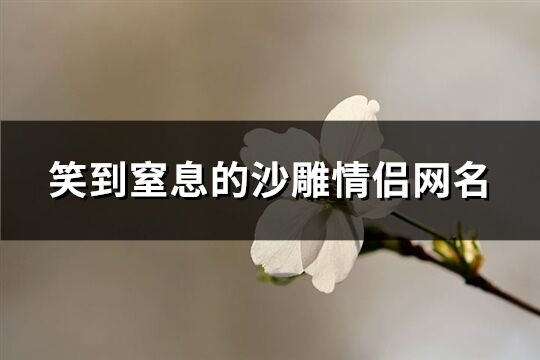 笑到窒息的沙雕情侣网名(共99个)