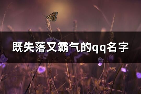 既失落又霸气的qq名字(共165个)