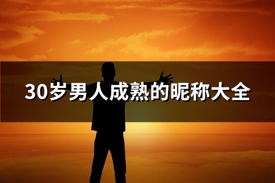 30岁男人成熟的昵称大全(590个)