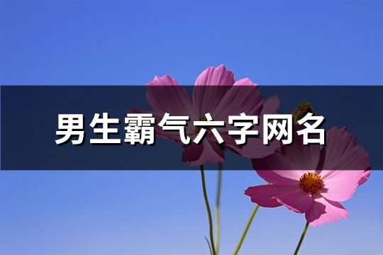 男生霸气六字网名(470个)