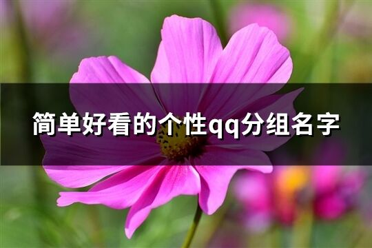 简单好看的个性qq分组名字(共165个)