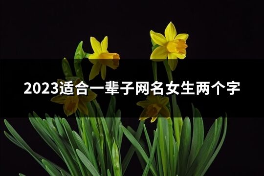 2023适合一辈子网名女生两个字(共776个)