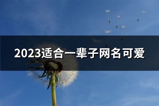 2023适合一辈子网名可爱(538个)