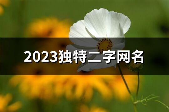 2023独特二字网名(1694个)