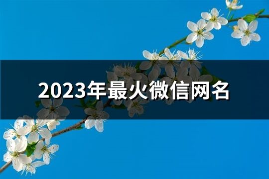 2023年最火微信网名(精选772个)