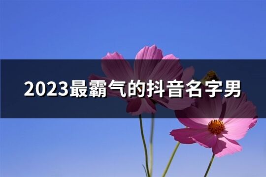 2023最霸气的抖音名字男(357个)