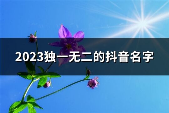 2023独一无二的抖音名字(优选1199个)