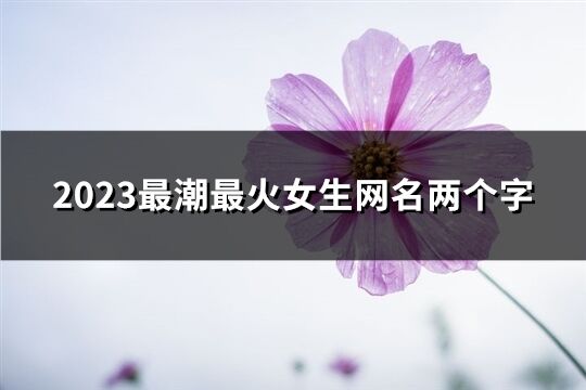 2023最潮最火女生网名两个字(优选1138个)