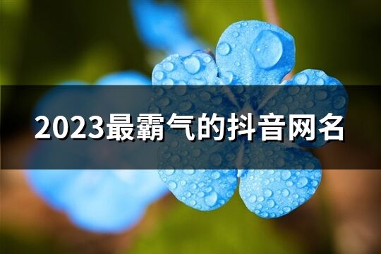 2023最霸气的抖音网名(精选279个)