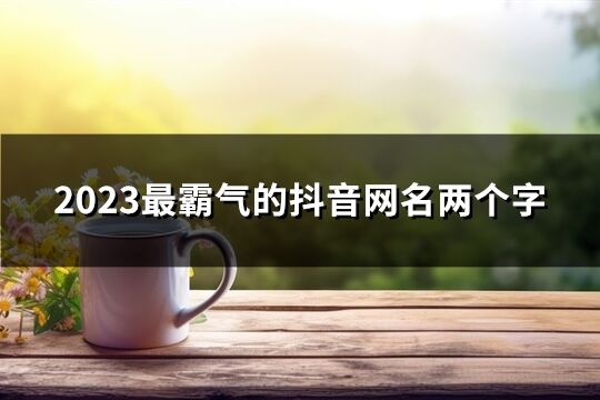 2023最霸气的抖音网名两个字(精选454个)